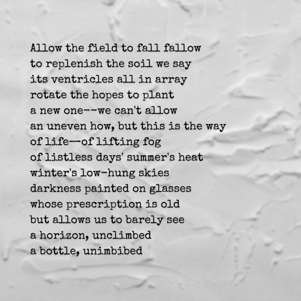 Farming Under Foggy Skies