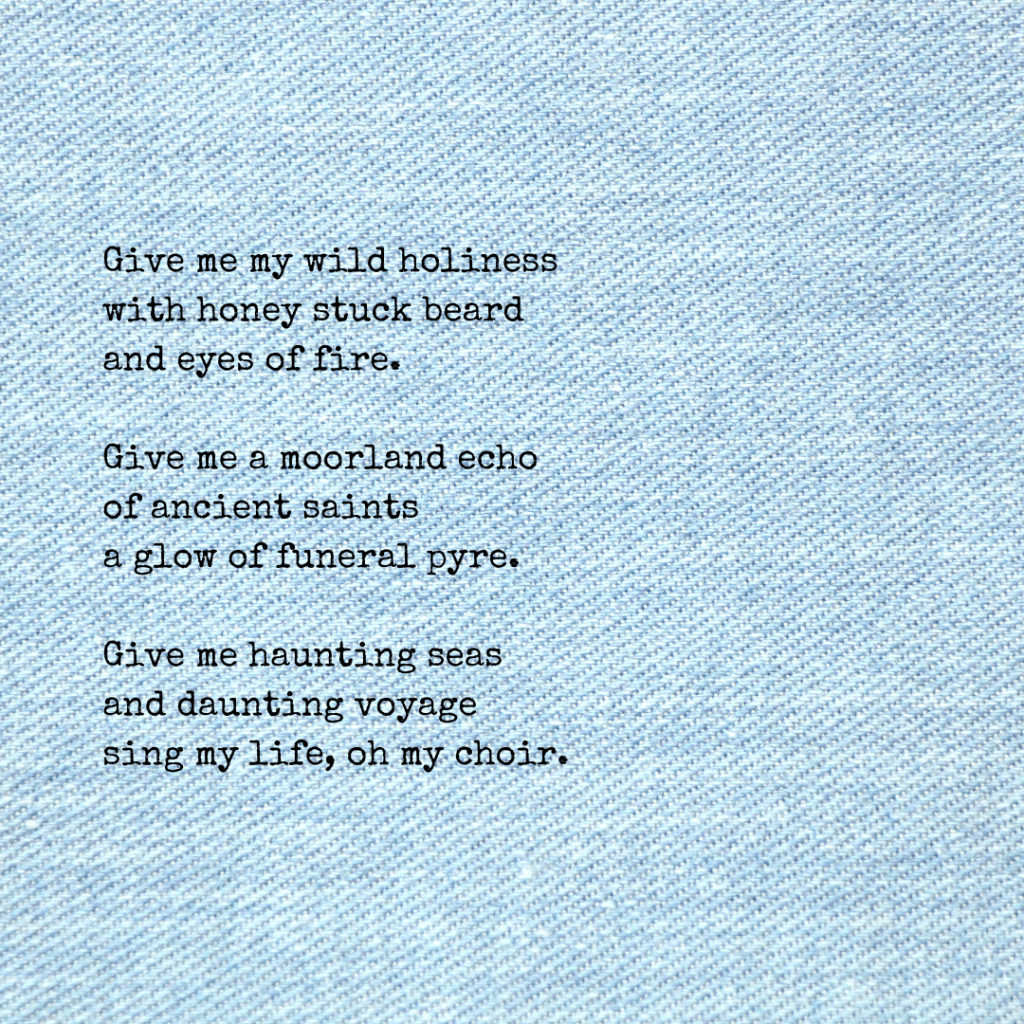 Wild Holiness
