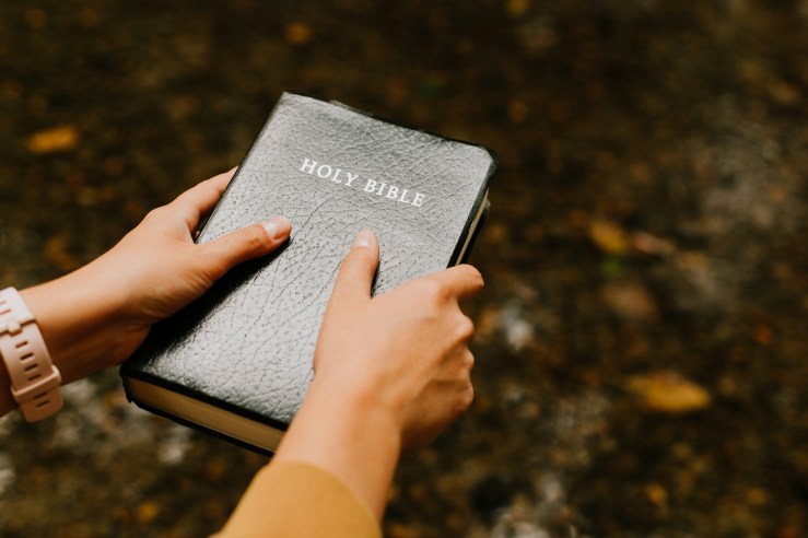 The Bible is by, to, and about&nbsp;Jesus