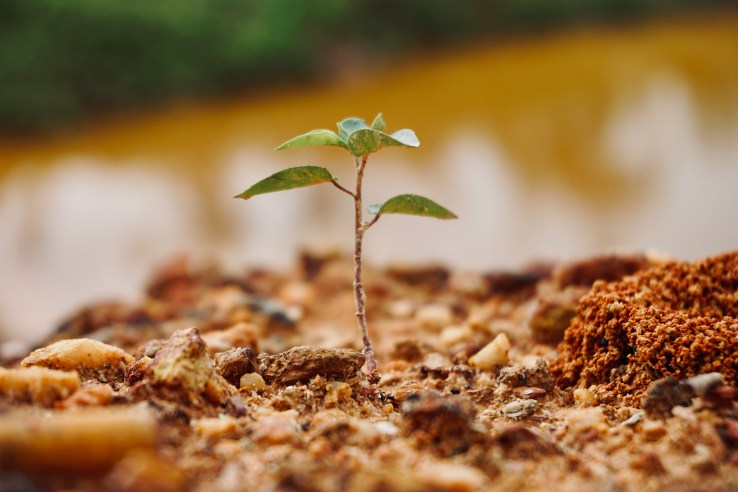 Why have we stopped planting&nbsp;churches?